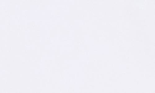 Sanctuary Upper East Chino Shorts In White