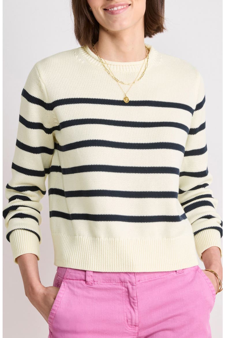 Stripe Roll Neck Cotton Sweater, Main, color, CALEY STRIPE MARSH
