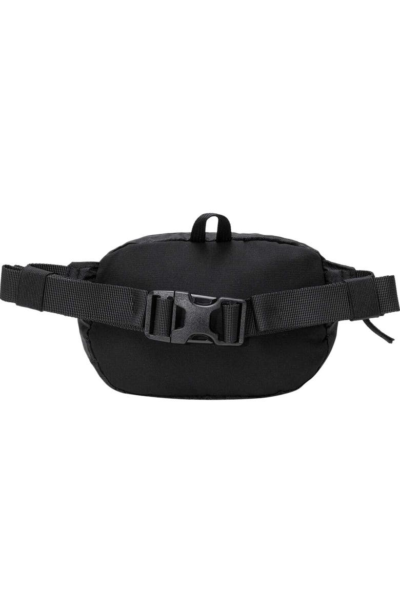 Backcountry Destination 1L Hip Pack, Alternate, color, Black