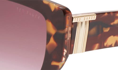 Ted Baker 54mm Gradient Square Sunglasses In Brown