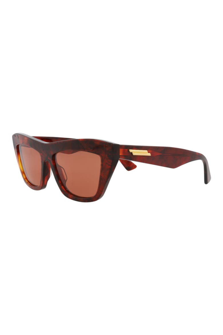 Gender Inclusive 55mm Polarized Cat Eye Sunglasses, Alternate, color, HAVANA HAVANA ORANGE