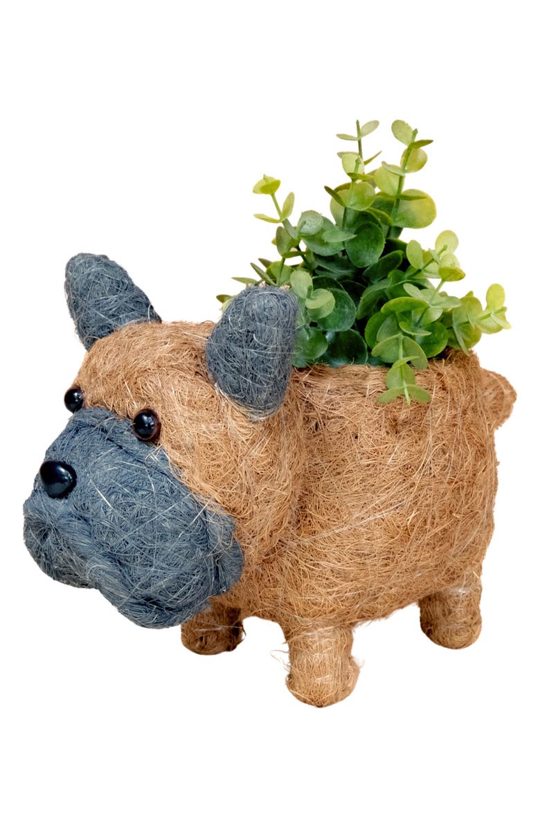 LIKHA Baby French Bulldog Handwoven Planter, Main, color, 