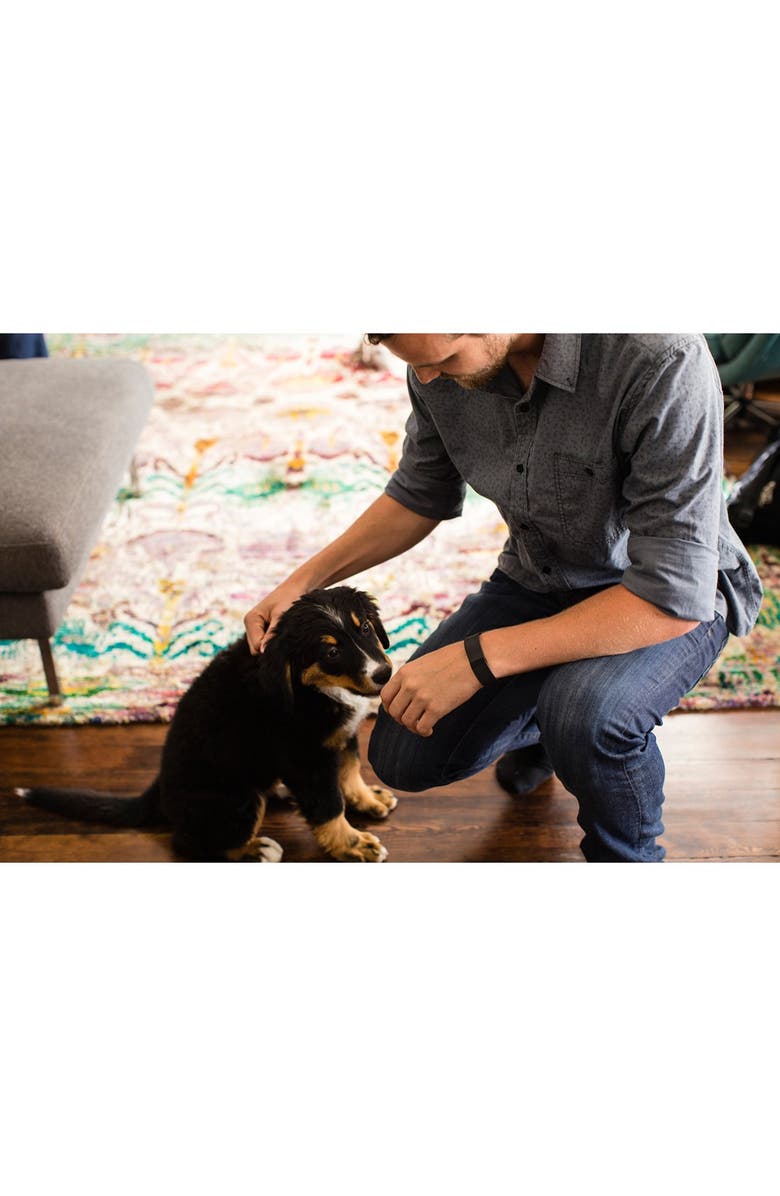 Fitbit Charge HR Wireless Activity & Heart Rate Tracker, Alternate, color, 