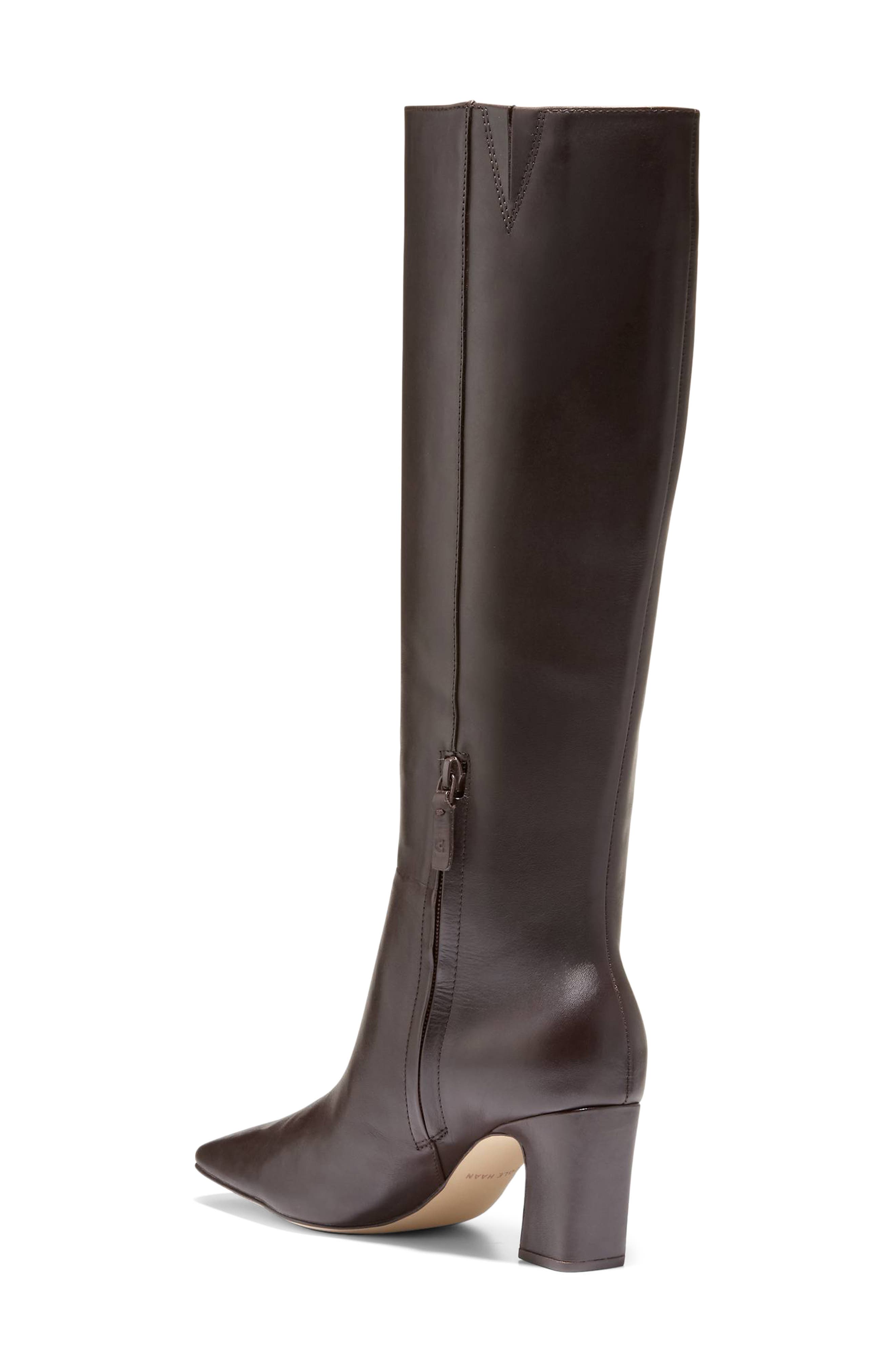 Blanche Snip Toe Leather Boot, Alternate, color, DARK CHOCOLATE LEATHER