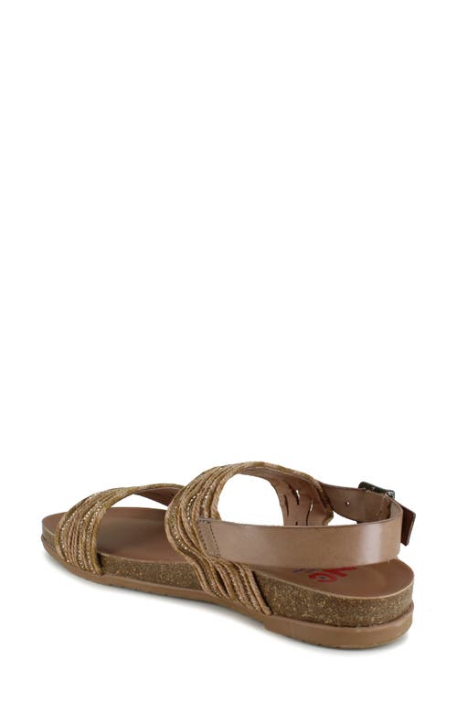 Shop National Comfort Pettra Ankle Strap Sandal In Taupe Leather