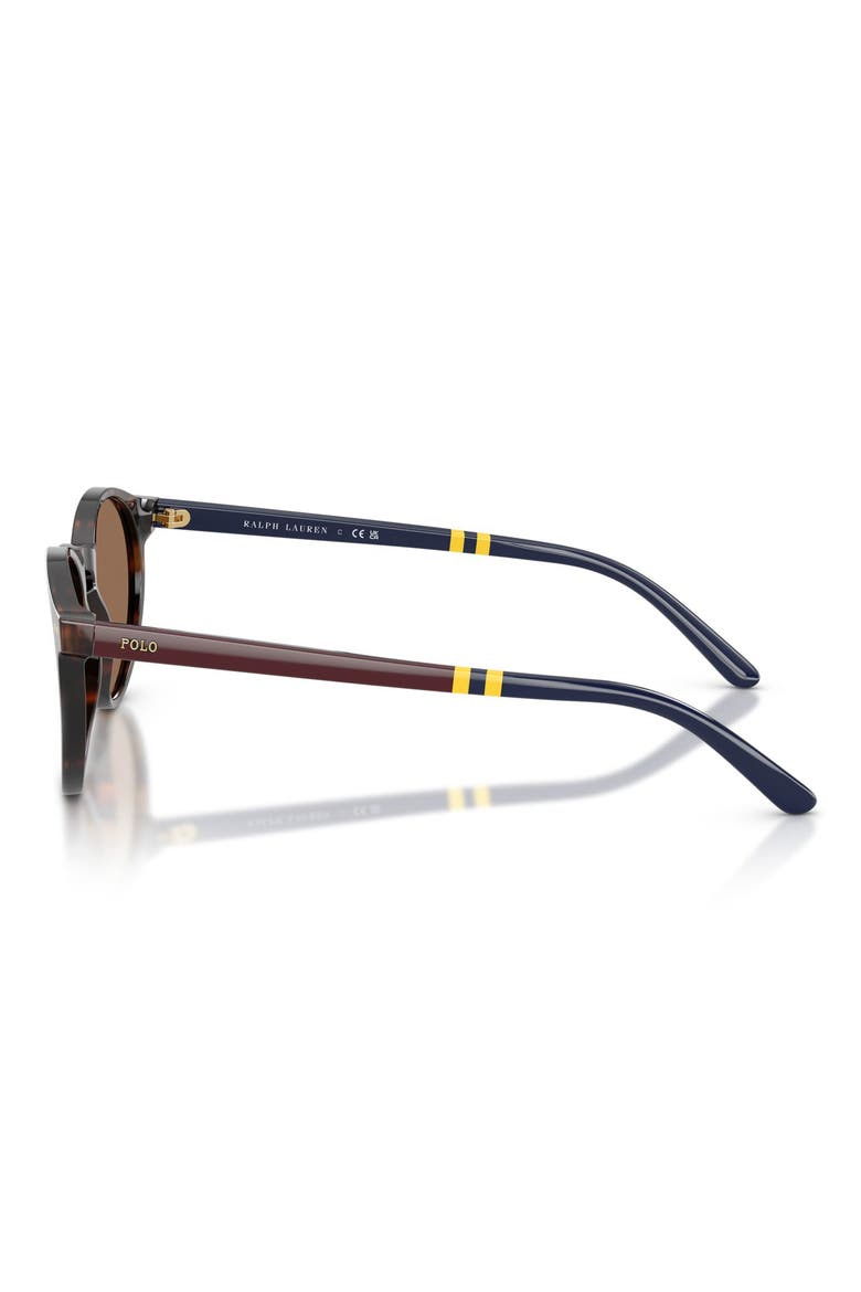 50mm Round Sunglasses, Alternate, color, SHINY DARK HAVANA / BROWN