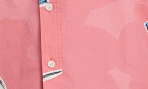 Quiksilver Apero Floral Short Sleeve Stretch Cotton Button-up Shirt In Strawberry Print