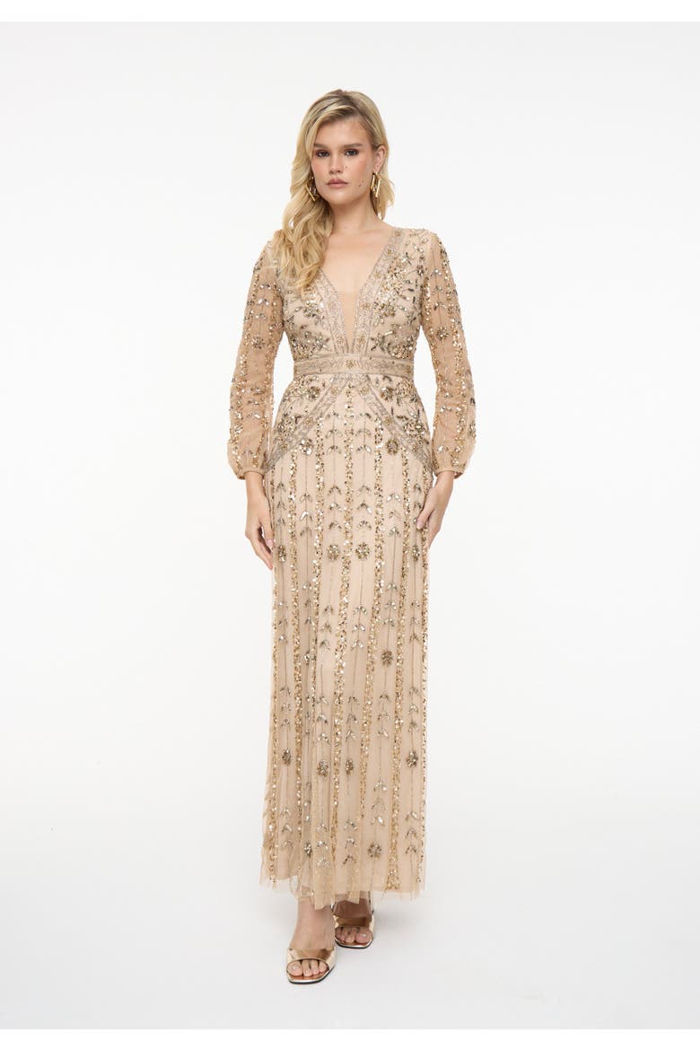 Embellished Sequin Beaded Maxi Dress With Designer Sleeves, Main, color, TAUPE BLUSH