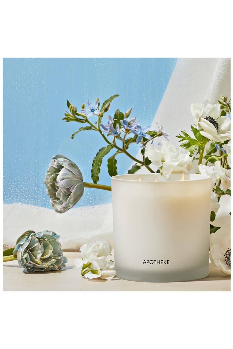 Canvas 3-Wick Scented Candle, Alternate, color, CANVAS