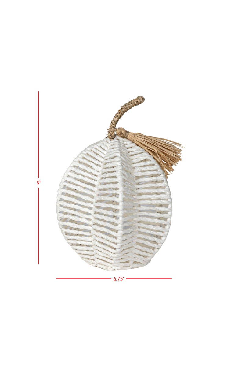 Foreside Home and Garden Decorative White Woven Rope Pumpkin on Metal Frame, Alternate, color, White