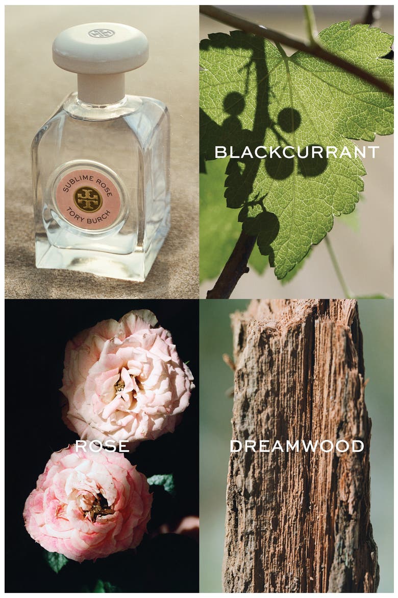 Essence of Dreams Sublime Rose Eau de Parfum Set $195 Value, Alternate, color, NO COLOR