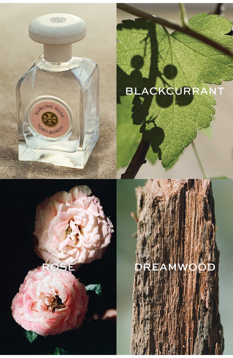 Tory Burch Essence of Dreams Sublime Rose Eau de Parfum Set $195 Value, Alternate, color, 