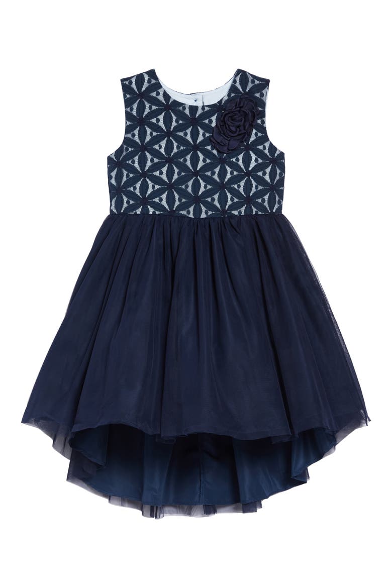 Embroidered Tutu Dress, Main, color, NAVY