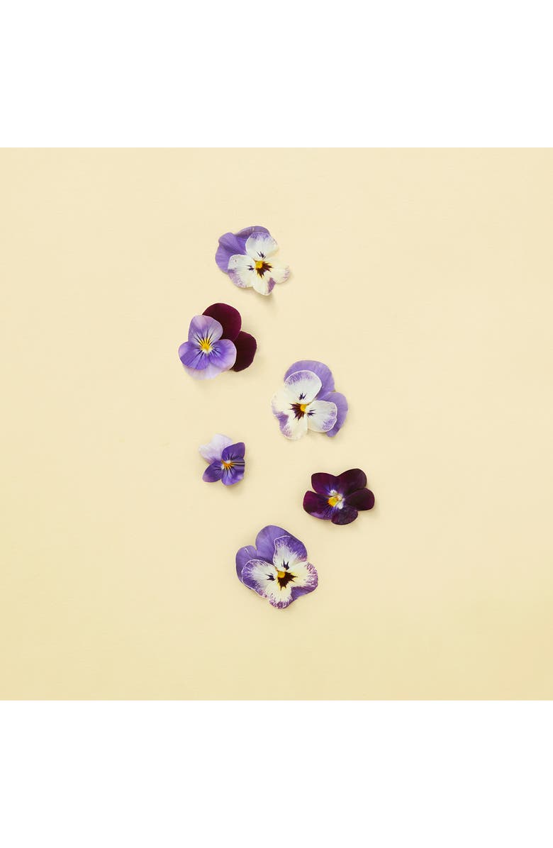 Gucci The Alchemist's Garden The Virgin Violet Eau de Parfum, Alternate, color, 