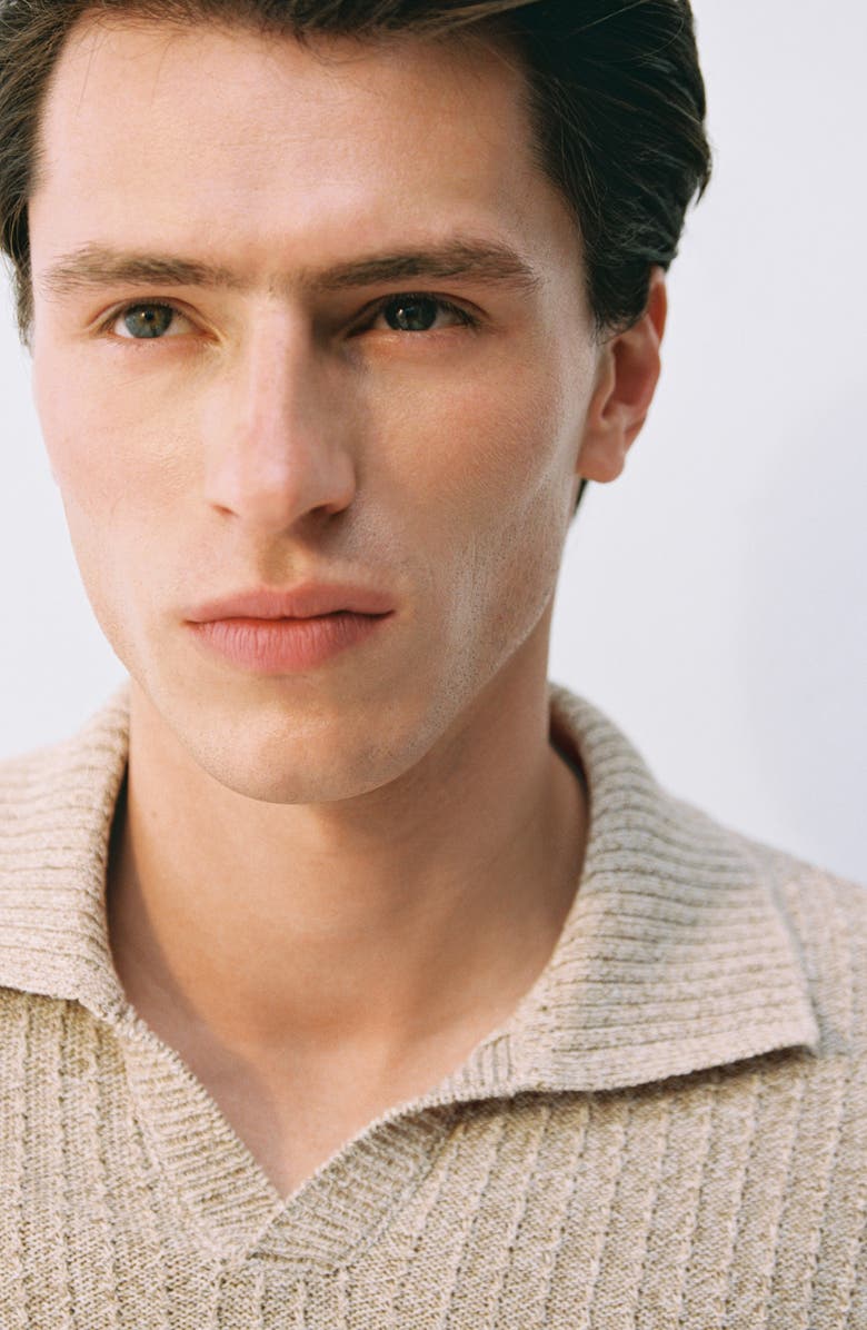 MANGO Johnny Collar Knit Polo, Alternate, color, 