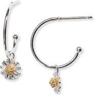 Estella Bartlett Wildflower Mini Hoop Earrings