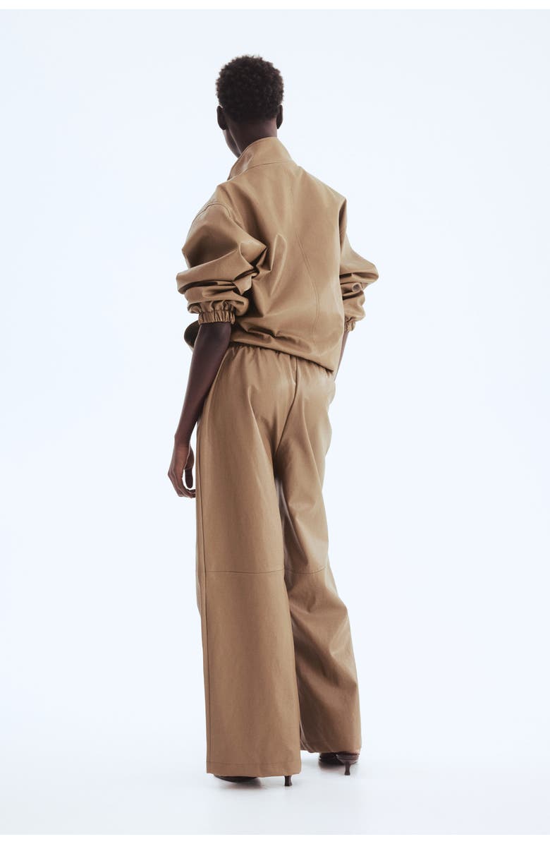 H&M Coated Trousers, Alternate, color, Dark Beige