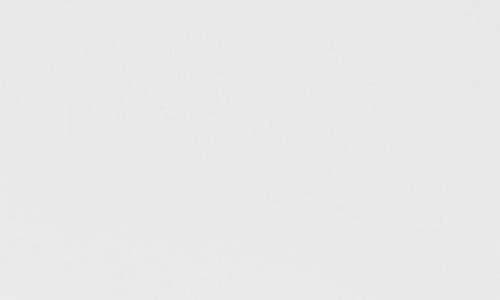 ROSELLI TRADING COMPANY ROSELLI TRADING COMPANY HOUSTON STREET TOOTHBRUSH HOLDER