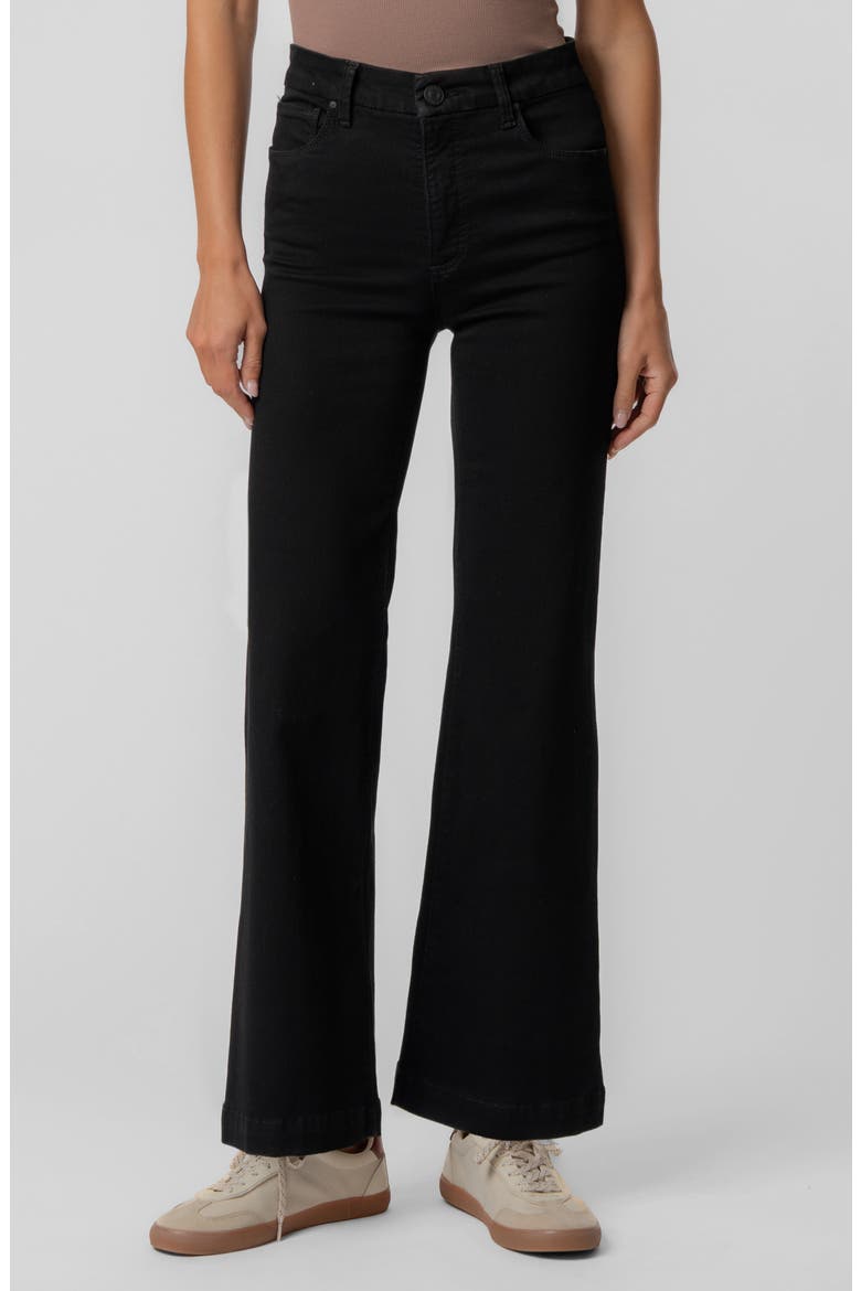Meg Fab Ab High Waist Ankle Wide Leg Jeans, Main, color, BLACK