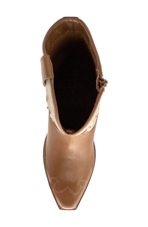Volatile Colt Western Boot In Brown