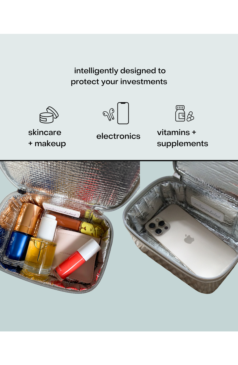 WELLinsulated Performance Mini Travel Case, Alternate, color, Silver