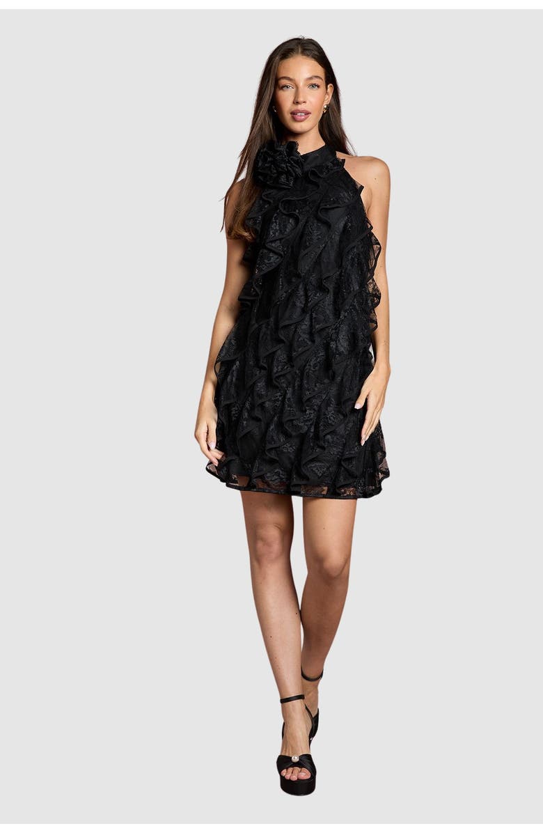 Coast Lace Frill Mini Dress, Alternate, color, Black