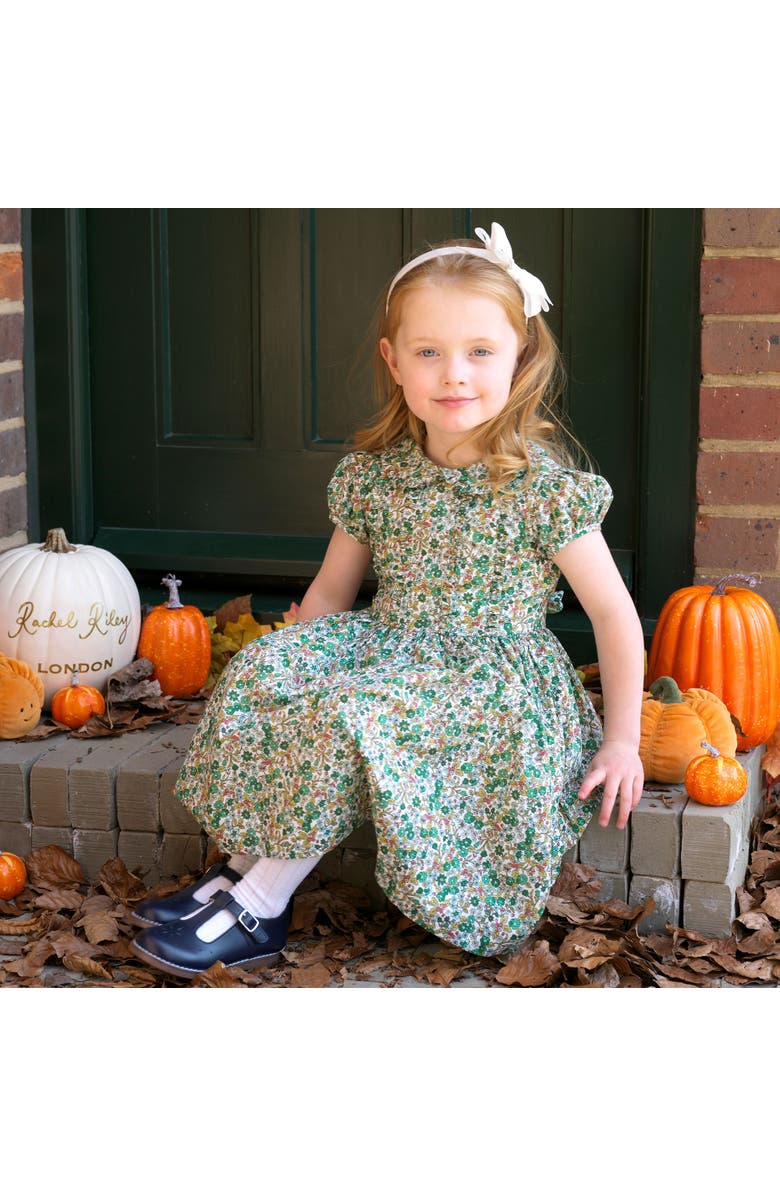 Rachel Riley Botanical Frill Front Dress, Alternate, color, Green