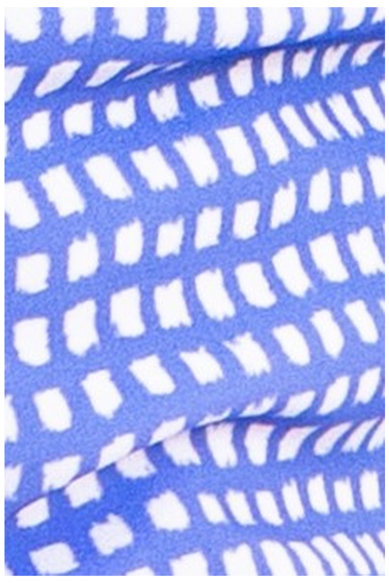 Gingham Swim Pants, Alternate, color, Blue