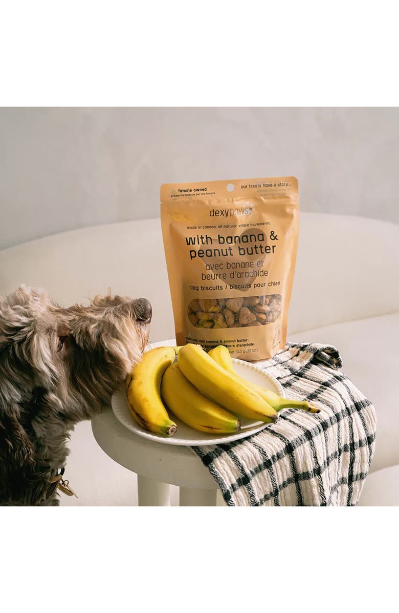 Dexypaws Banana, Oat & Peanut Butter Dog Biscuits 12oz, Alternate, color, Brown