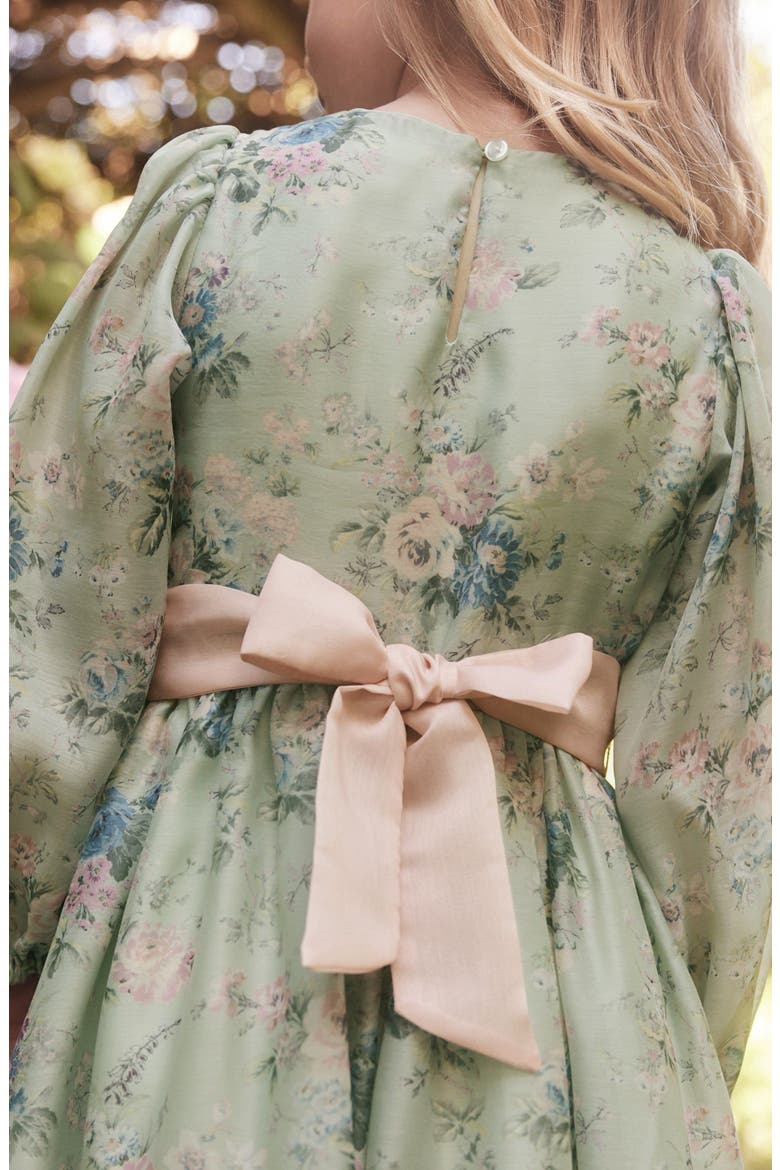 Kids' Romantic Rose Floral Long Sleeve Organza Dress, Alternate, color, DUCK EGG