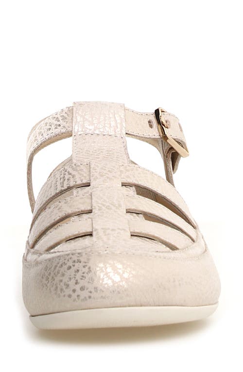 Candice Cooper Rock T-bar Fisherman Sandal In Platinum