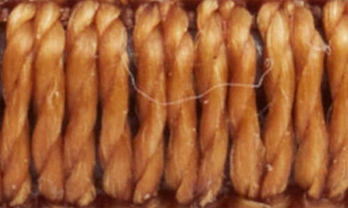 Caputo & Co Macramé Adjustable Bracelet In Brown