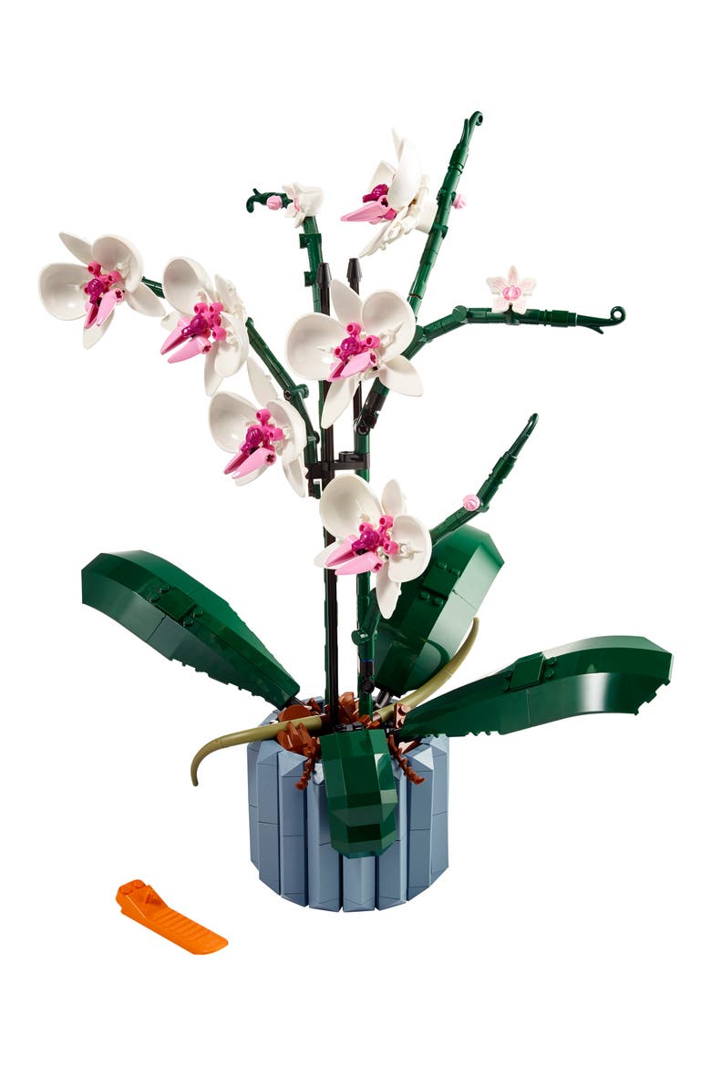 Botanicals Orchid - 10311, Alternate, color, MULTI