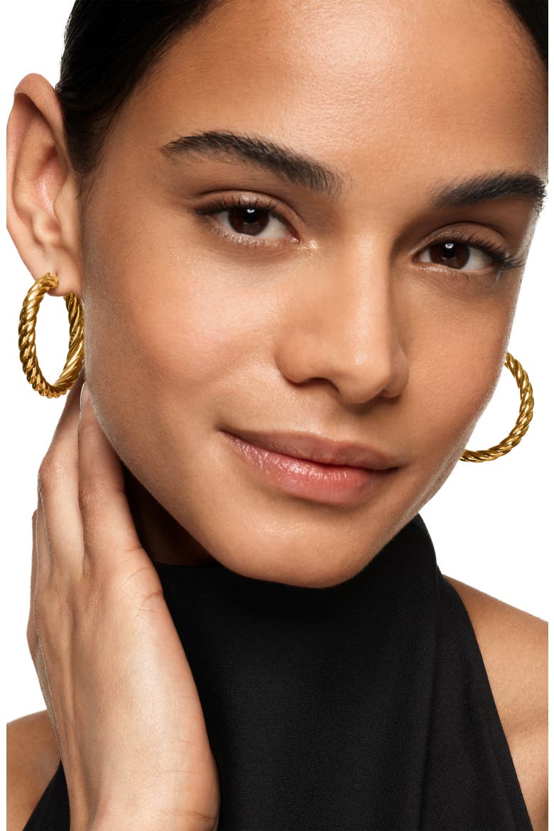 Sculpted Cable Hoop Earring in 18K Yellow Gold, Alternate, color, 18K YELLOW GOLD