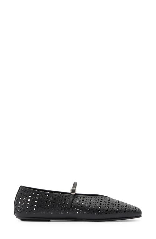 JEFFREY CAMPBELL JEFFREY CAMPBELL KHLOE PERFORATED SQUARE TOE FLAT 
