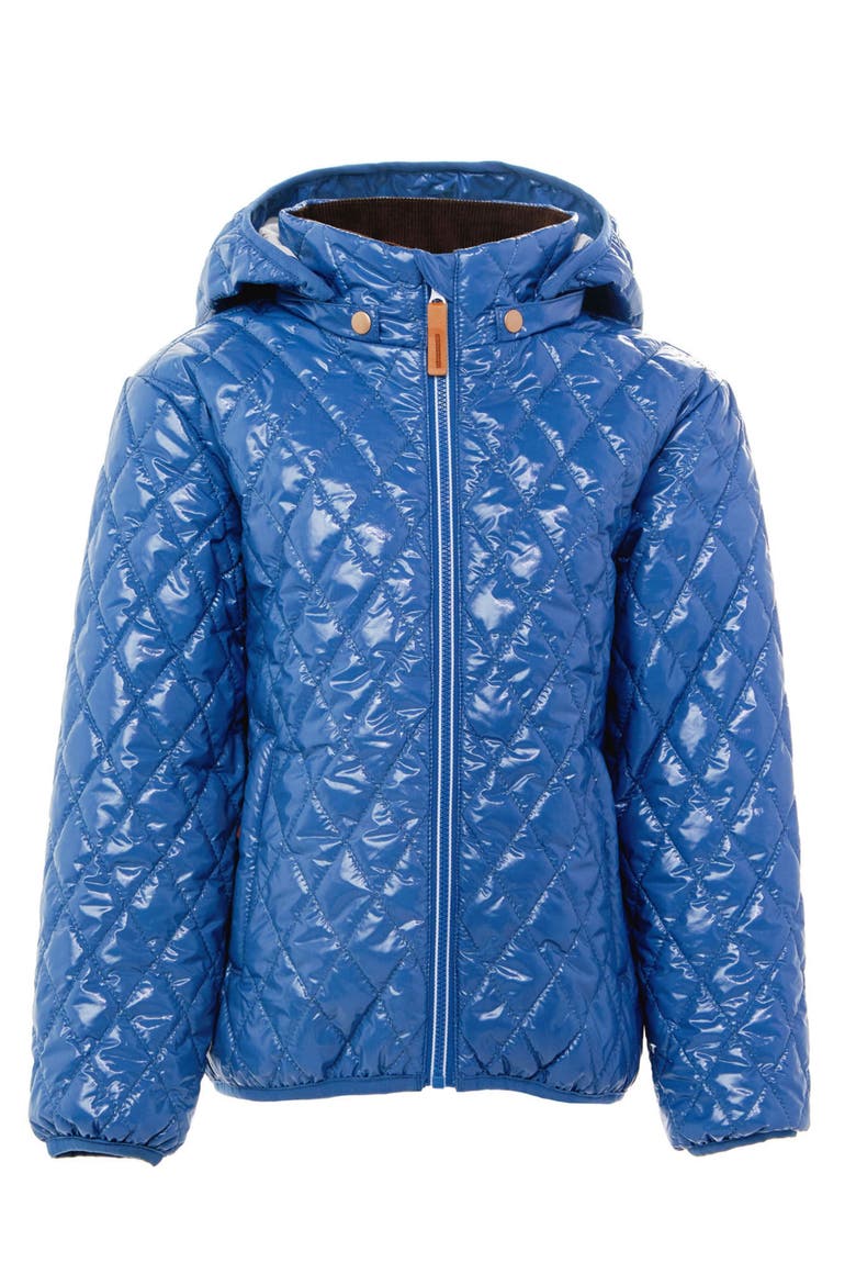 Shiny Quilted Puffer Jacket, Main, color, Shiny Mountain Blue