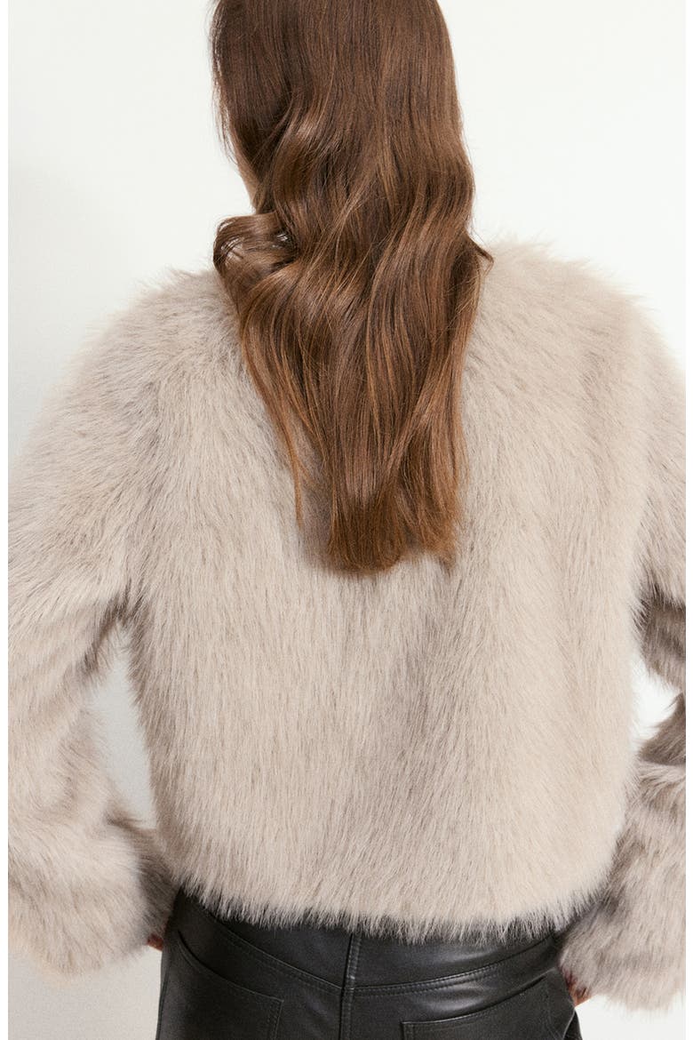 Bruni Faux Fur Jacket, Alternate, color, LIGHT/PASTEL BROWN