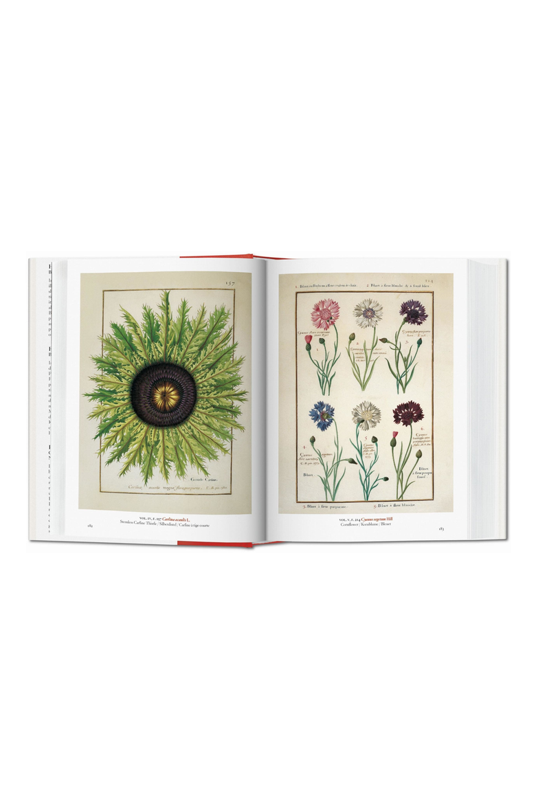 A Garden Eden Masterpieces of Botanical Illustration 45th Edition Book, Alternate, color, Off-White