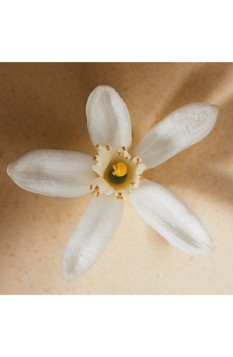 Chloé Atelier des Fleurs Néroli Eau de Parfum, Alternate, color, 