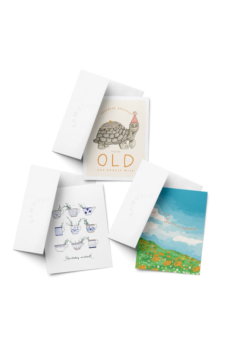 Ramus & Co Birthday Greeting Card Pack Sets (3 ct, Assorted) Old Turtle, Birthday Wishes Tea, Wild Birthday, Main, color, Multi-Pack