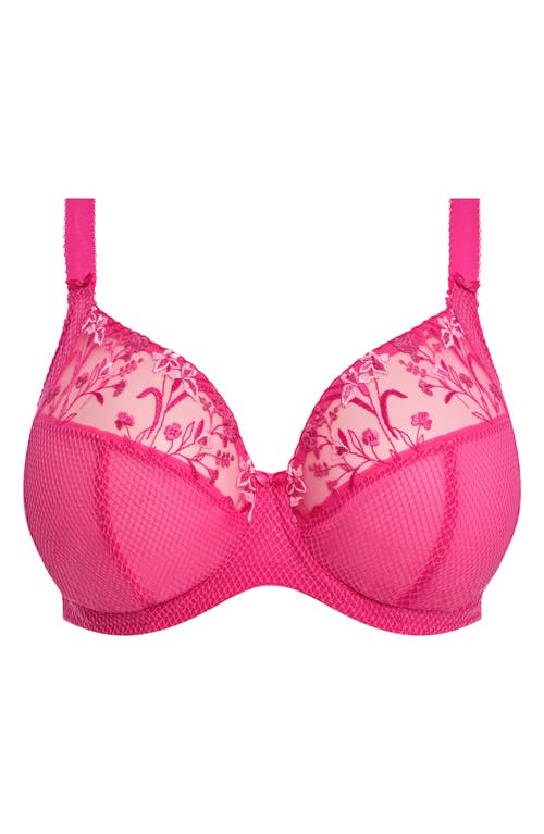 Elomi Charley Full Figure Underwire Plunge Bra In Pink