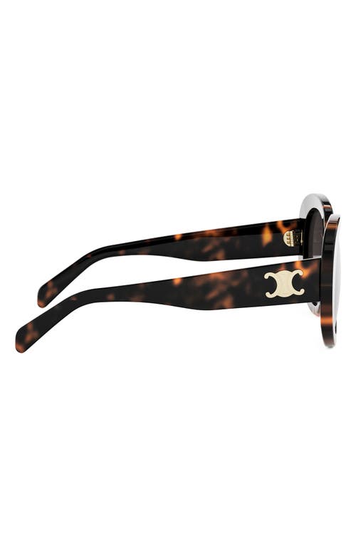 Celine Triomphe Logo Oval Acetate Sunglasses