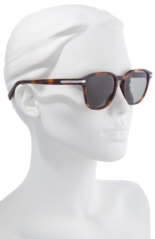 Ferragamo Timeless 53mm Rectangular Sunglasses In Brown