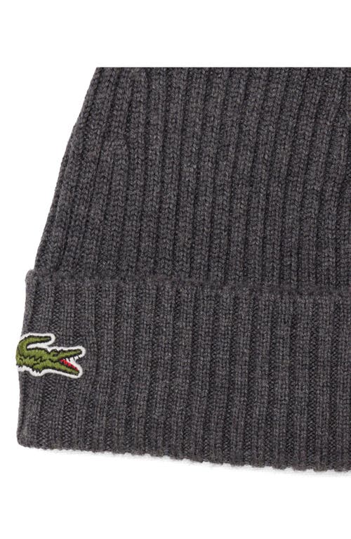 Lacoste Wool Cuff Beanie In Gray