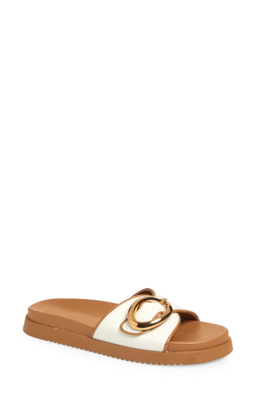 Steve Madden Mandie Slide Sandal