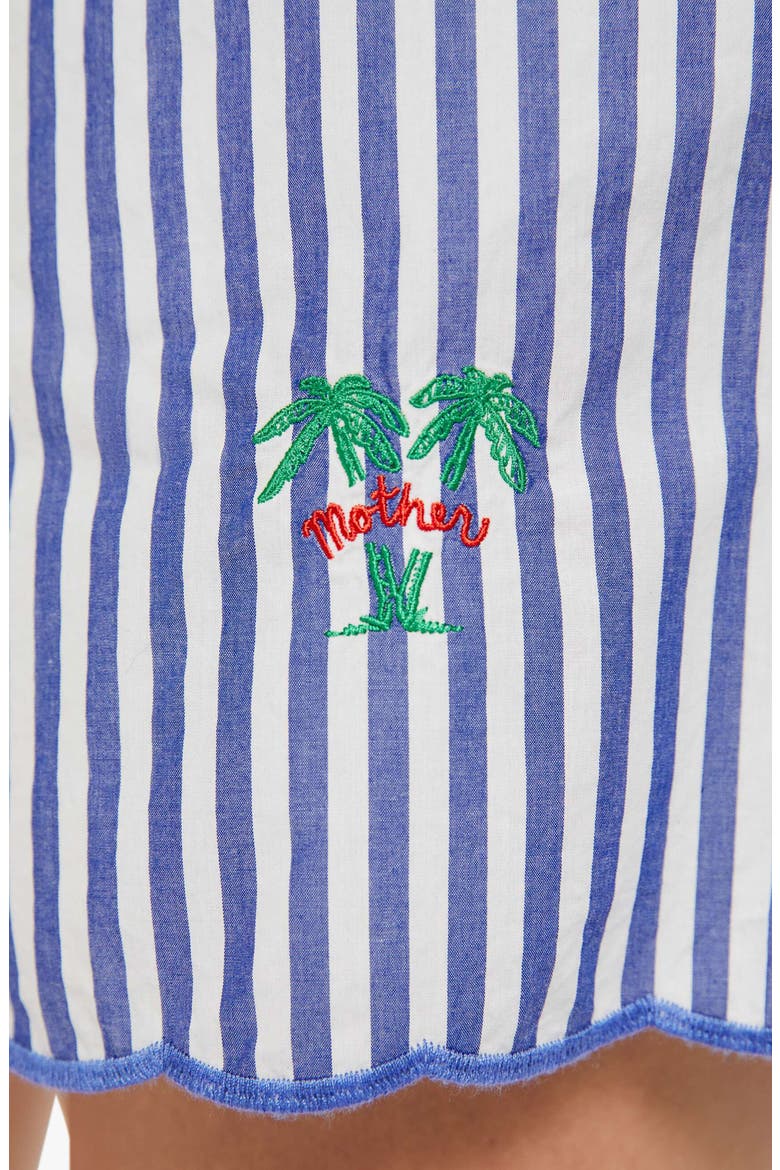 The Drawn Freeballer Stripe Cotton Shorts, Alternate, color, WHITE AND BLUE STRIPE
