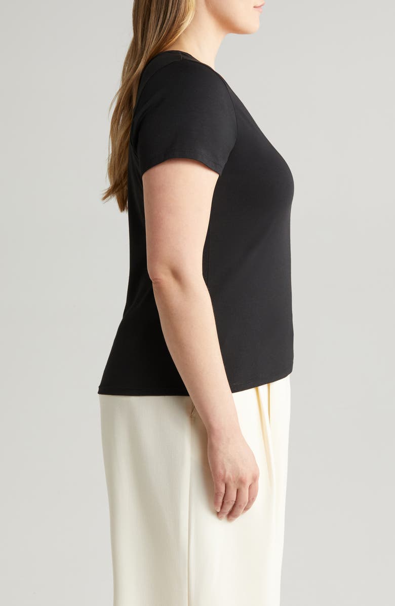 Nordstrom Everyday V-Neck Pima Cotton Blend T-Shirt, Alternate, color, 