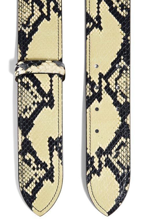 Khaite Theo Snakskin Embossed Leather Belt In Neutral