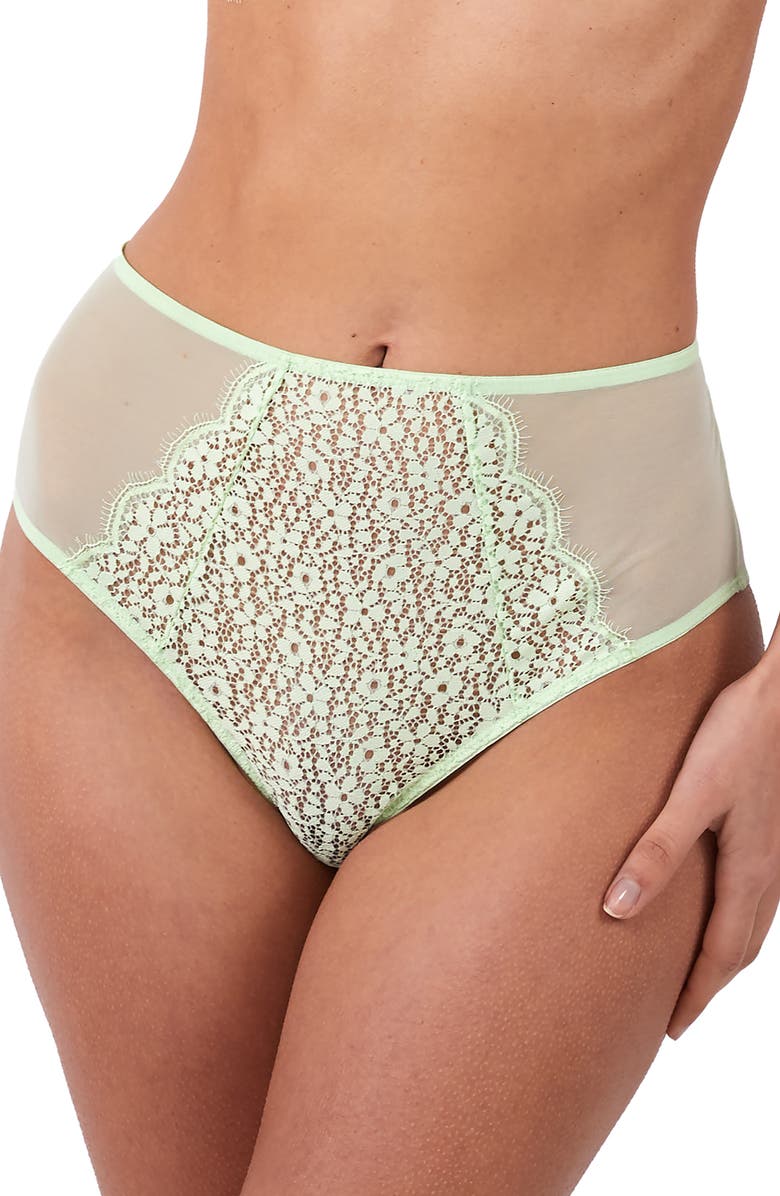 Deja Day Emma High Waist Lace & Mesh Briefs, Main, color,