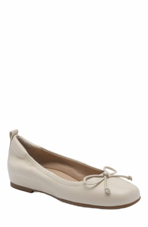 Abeo Cadence Bow Ballet Flat In Gray
